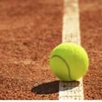 Tennis-Österreich schaut wieder nach Linz